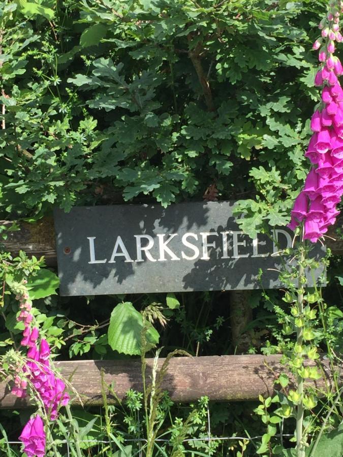 Apartamento Larksfield Loft Okehampton Exterior foto